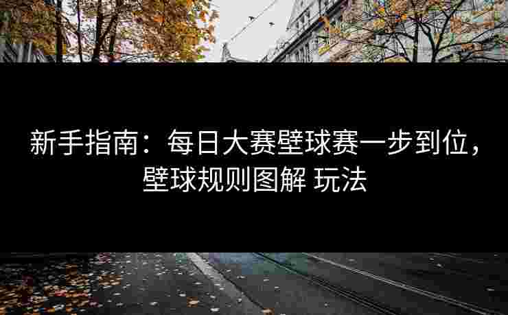 新手指南：每日大赛壁球赛一步到位，壁球规则图解 玩法