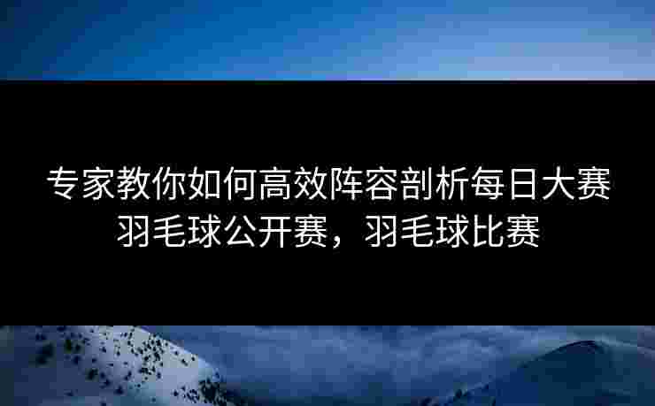 专家教你如何高效阵容剖析每日大赛羽毛球公开赛，羽毛球比赛
