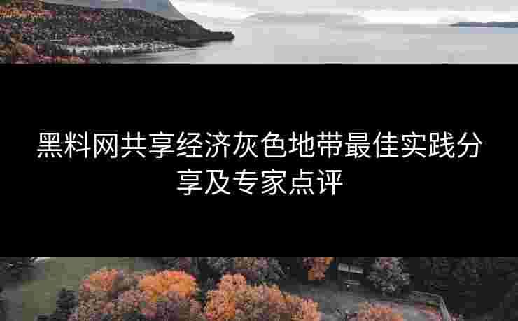 黑料网共享经济灰色地带最佳实践分享及专家点评