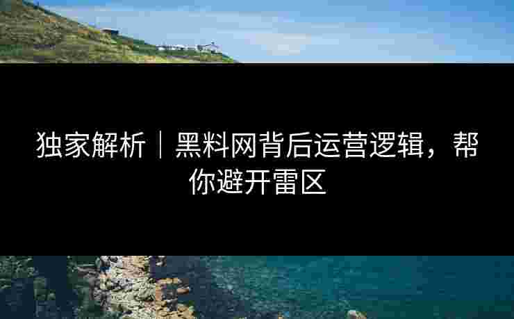 独家解析｜黑料网背后运营逻辑，帮你避开雷区