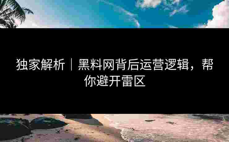 独家解析｜黑料网背后运营逻辑，帮你避开雷区