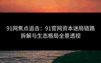 91网焦点追击：91官网资本迷局链路拆解与生态格局全景透视