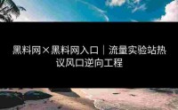 黑料网×黑料网入口｜流量实验站热议风口逆向工程
