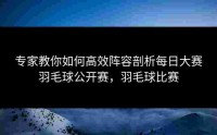 专家教你如何高效阵容剖析每日大赛羽毛球公开赛，羽毛球比赛
