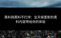 黑料网黑料不打烊：全天候更新的黑料内容带给你的体验